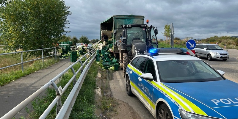 POL-PDLU: Da haben wir den Salat... - Foto: presseportal.de