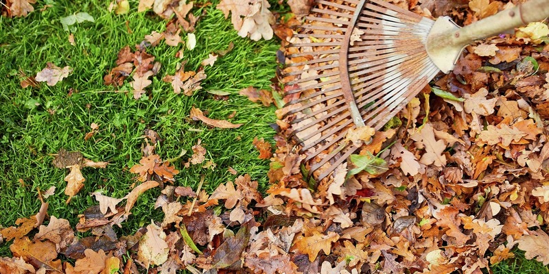 Die Nützlinge von morgen: Artenvielfalt auch im Winter fördern - Foto: presseportal.de