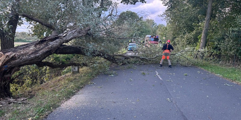 FW Flotwedel: Drei Einsätze fordern die Feuerwehren während der Großübung Eichkater - Foto: presseportal.de