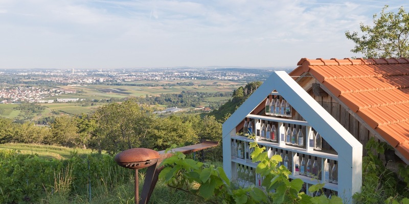 Baukunst trifft auf Weinkultur - Foto: presseportal.de