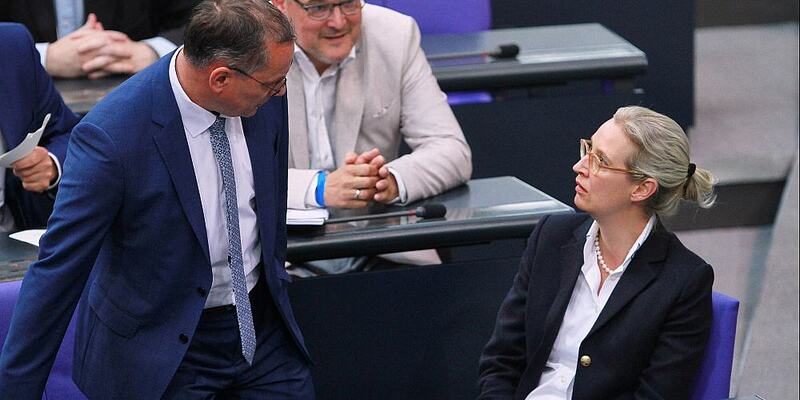 AfD-Abgeordnete Chrupalla, Reichardt, Weidel (Archiv) - Foto: über dts Nachrichtenagentur