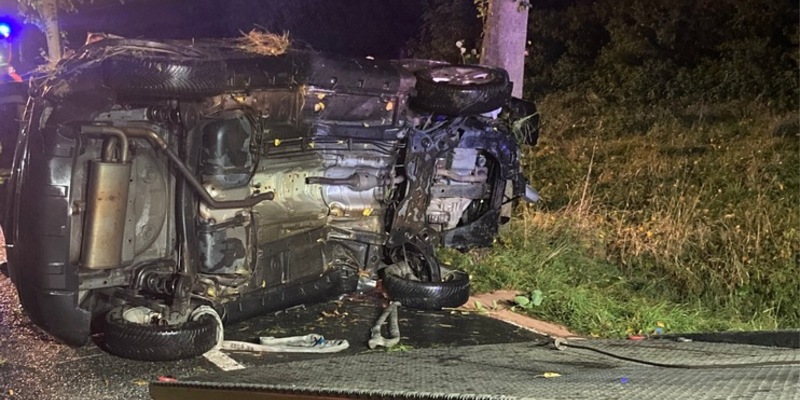 POL-HI: Schwerer Baumunfall fordert eine verletzte Person - Foto: presseportal.de