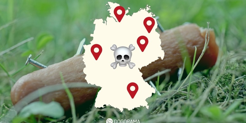 Die gefährlichste Stadt für Hunde im Jahr 2024 / Dogorama veröffentlicht aktuelle Giftköder-Zahlen - Foto: presseportal.de