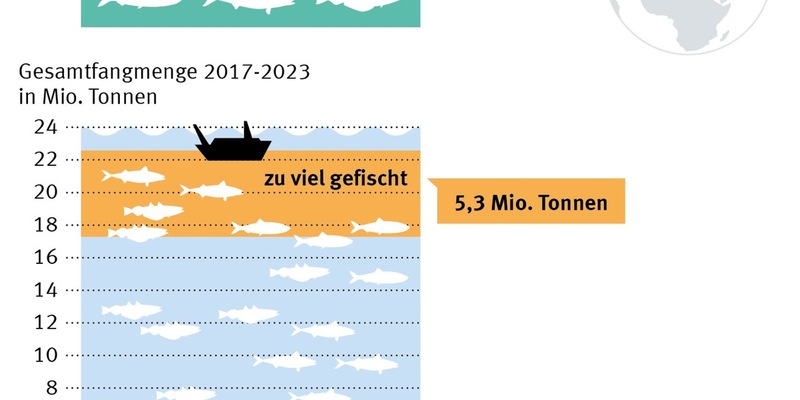 Neue Daten offenbaren starken Rückgang der Herings- und Makrelenbestände im Nordostatlantik - Foto: presseportal.de
