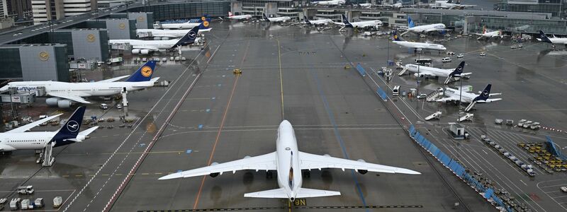 Am Drehkreuz Frankfurt ist Lufthansa dominant.  - Foto: Arne Dedert/dpa