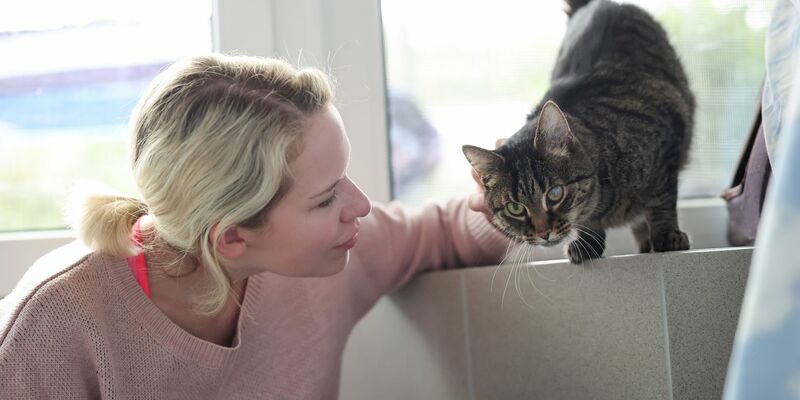 Neben Streicheleinheiten kümmern sich die Ehrenamtlichen zum Teil auch mit um die Pflege der Katzen.  - Foto: Daniel Löb/dpa