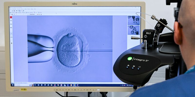 Ein Zweizeller nach einer künstlichen Befruchtung. Entwickelt er sich gut, kann er in die Gebärmutter transferiert werden. - Foto: Jens Kalaene/dpa