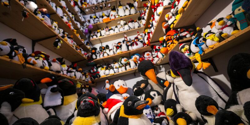 Ein großer Teil der Sammlung wird nun verkauft. - Foto: Sina Schuldt/dpa