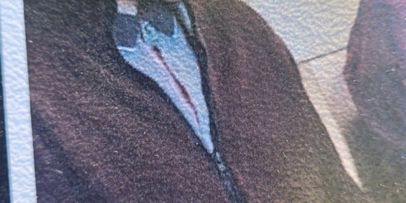 POL-HL: POL-HL, OH / 84-jähriger in Wangels vermisst - Polizei bittet um Mithilfe bei der Suche - Foto: presseportal.de