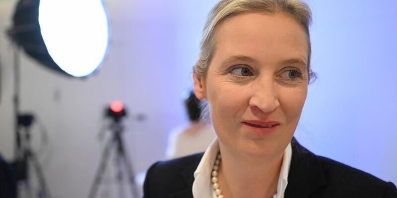 Sie dürfte auch als Kanzlerkandidatin in die Bundestagswahl gehen: Alice Weidel. (Archivbild) - Foto: Bernd von Jutrczenka/dpa