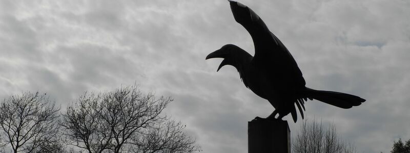 Die Statue eines Raben erinnert vor dem früheren Wohnhaus des Schriftstellers Edgar Allan Poe in Philadelphia (USA) an dessen berühmtestes Gedicht Der Rabe. - Foto: picture alliance / Johannes Schmitt-Tegge/dpa