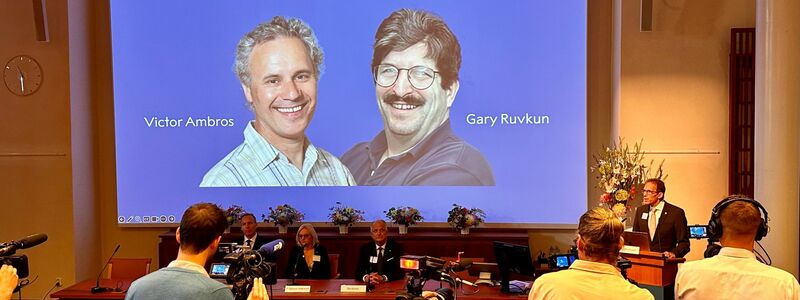 Der Nobelpreis für Medizin geht in diesem Jahr Victor Ambros  (li) und Gary Ruvkun für die Entdeckung der microRNA und ihrer Rolle bei der Genregulierung. - Foto: Steffen Trumpf/dpa