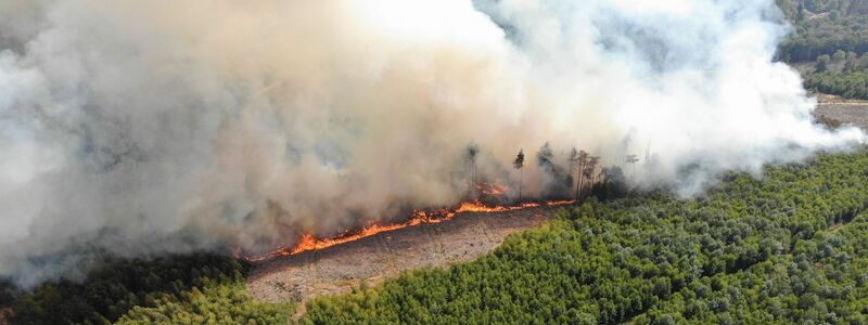 Der weltweite Verlust durch Waldbrände lag mit 11,9 Millionen Hektar 2023 ebenfalls auf Rekordniveau. (Archivbild) - Foto: Michael Kling/Märkischer Kreis/dpa