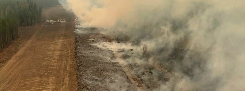 Der weltweite Verlust durch Waldbrände lag mit 11,9 Millionen Hektar 2023 ebenfalls auf Rekordniveau. (Archivbild) - Foto: Gov. of Alberta Fire Service/The Canadian Press via AP/dpa