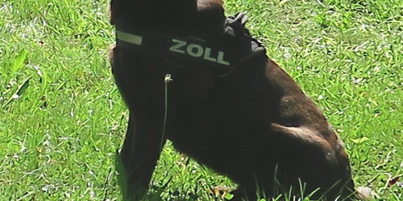 HZA-N: Zoll beim Tag der offenen Tür der Stadt Nürnberg - Foto: Zoll, presseportal.de