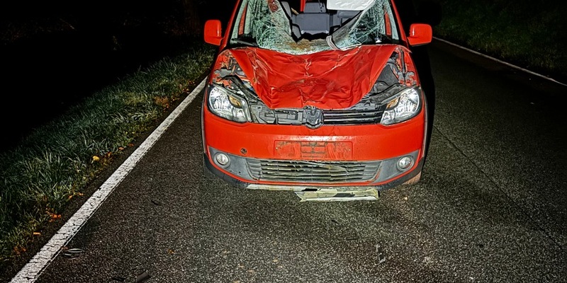 POL-PDPS: Verkehrsunfall mit tödlich verletztem Pferd - Foto: presseportal.de