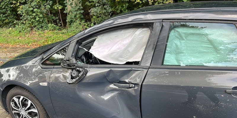 POL-STD: Agathenburg: Erneut Verkehrsunfall zwischen Pkw und Pferd - Foto: presseportal.de