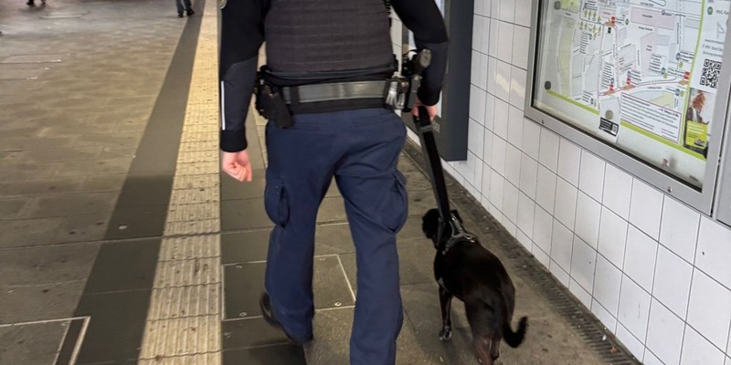 Bundespolizeidirektion München: Tierischer Einsatz für die Bundespolizei - Chicka allein in München - Foto: presseportal.de