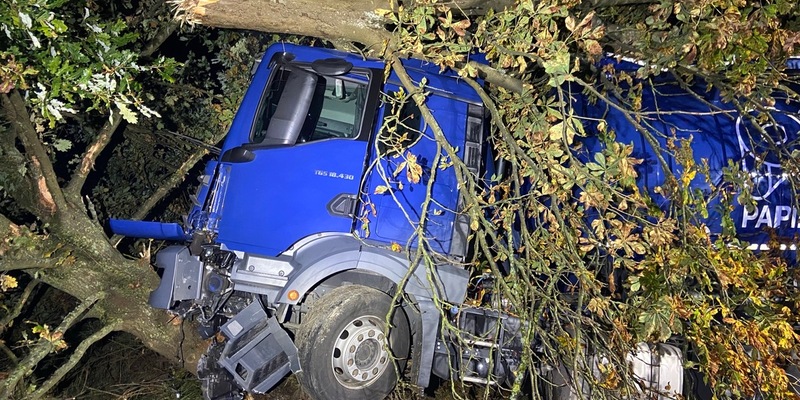 POL-PDTR: Sattelzug kollidiert mit Baum - Foto: presseportal.de