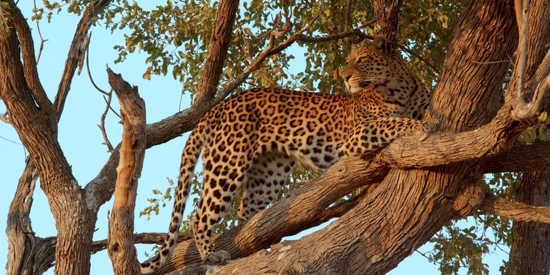  - Foto: Maleika Film GmbH über pressetext.de