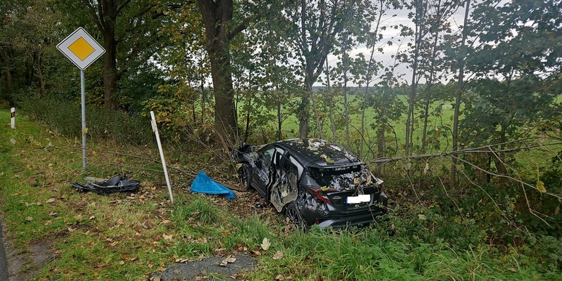 POL-CUX: Verkehrsunfall zwischen Traktor und PKW auf der Landesstraße 119 zwischen Neuenwalde und Fickmühlen - drei Personen leicht verletzt, darunter 8-jähriges Kind (Lichtbild in der Anlage) - Foto: presseportal.de