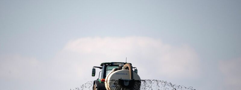 Die größte Belastung des Oberflächen- und Grundwassers gehe von der Landwirtschaft aus, berichtet die EU-Umweltagentur. - Foto: Sebastian Gollnow/dpa