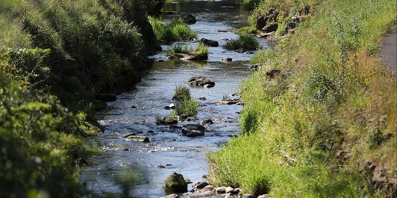 Fluss Sinn (Archiv) - Foto: über dts Nachrichtenagentur