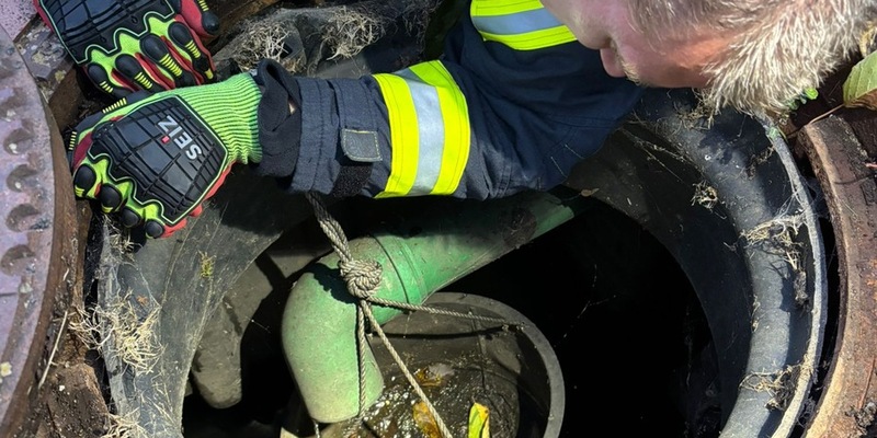 FW Celle: Vogel aus Regenwasserrohr gerettet - Foto: presseportal.de