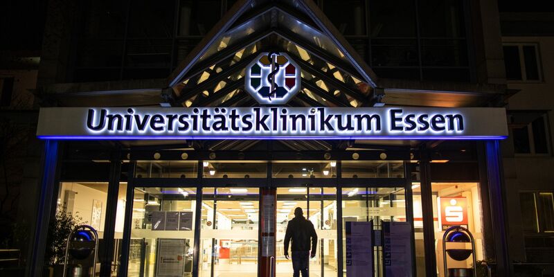 Vermutlich nach dem Verzehr von Giftpilzen werden drei Kinder in einer Klinik behandelt. (Archivbild) - Foto: Marcel Kusch/dpa