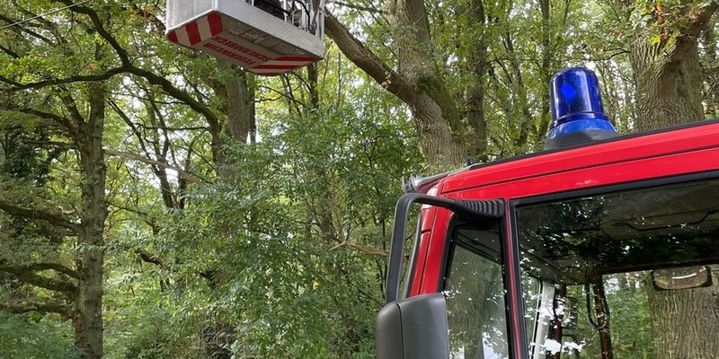 FW-Schermbeck: Sturmschaden am Sonntag - Foto: presseportal.de