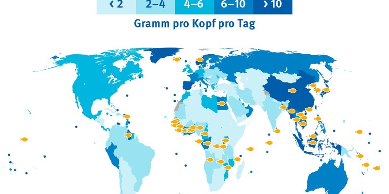 Fisch für die Welternährung - Dringender Handlungsbedarf für globale Nahrungssicherheit - Foto: presseportal.de