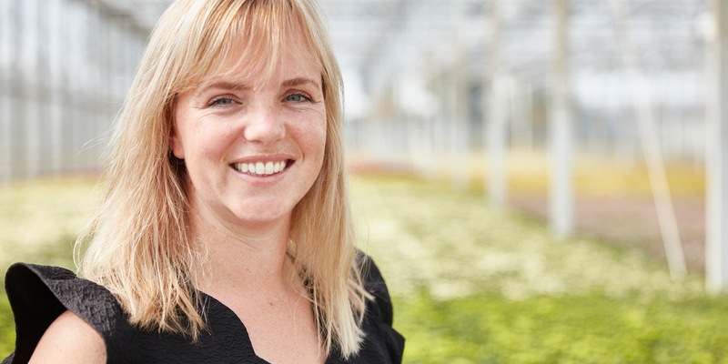 Pflegetipps von Züchterin Juliska Hofman / Mit Chrysanthemen durch den Winter - Foto: presseportal.de