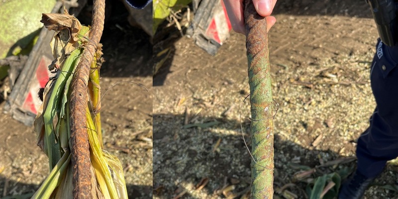 POL-PB: Gefährlich! Torstahlstangen im Maisfeld entdeckt - Foto: presseportal.de