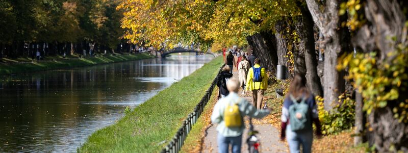 Nicht nur im Nymphenburger Park - in Parks mit alten Bäumen und vielen Wildtieren fühlen sich auch Zecken wohl. (Archivfoto) - Foto: Sven Hoppe/dpa