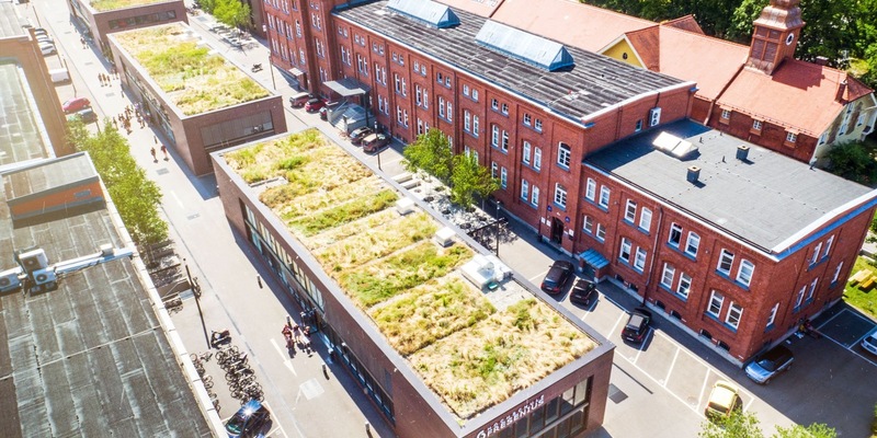 Personalisierte Therapie bei Depressionen: Die Rolle von Misshandlungserfahrungen in der Kindheit - Foto: presseportal.de