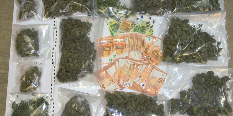 POL-HM: Gemeinsame Pressemitteilung der Staatsanwaltschaft Hildesheim und des Polizeikommissariats Holzminden zur Sicherstellung großer Mengen Cannabis - Foto: presseportal.de