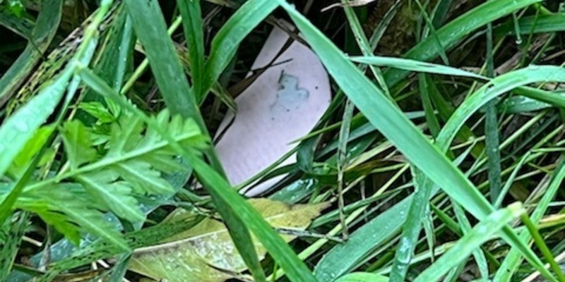 POL-CLP: Einzelmeldung Polizei Cloppenburg Köder mit Rasierklingen in 49632 Essen aufgefunden. - Foto: presseportal.de