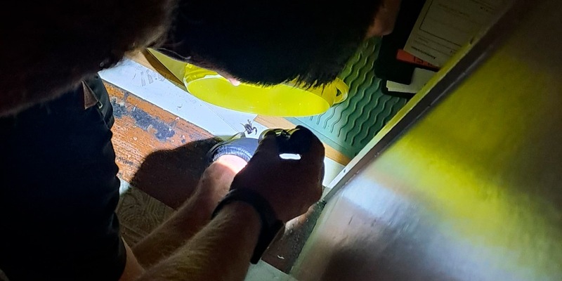 FW-M: Da sitzt der Stachel tief (Schwabing) - Foto: presseportal.de