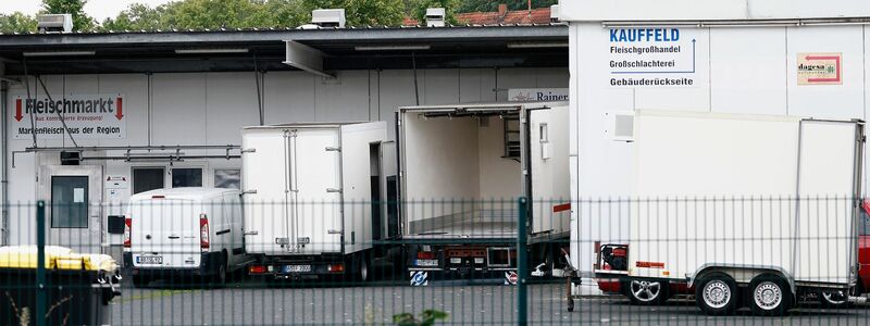 Zwei Tierärztinnen stehen im Zusammenhang mit dem Skandal um den Schlachthof Aschaffenburg vor Gericht. - Foto: Heiko Becker/dpa