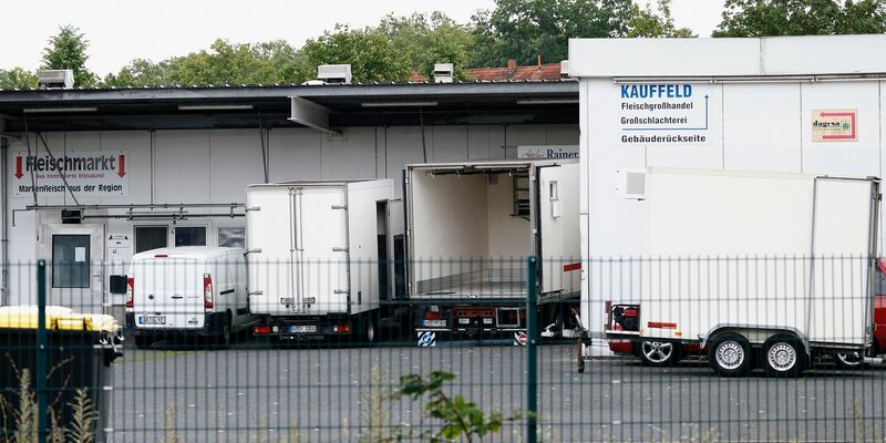 Zwei Tierärztinnen stehen im Zusammenhang mit dem Skandal um den Schlachthof Aschaffenburg vor Gericht. (Archivbild) - Foto: Heiko Becker/dpa
