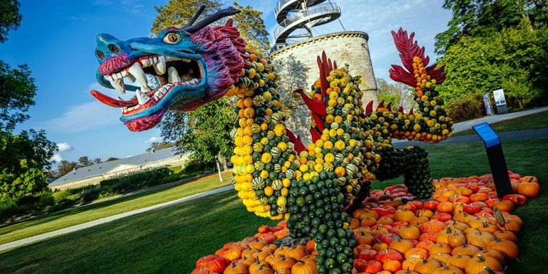 Nicht verpassen - nur noch wenige Tage fabelhafte Kürbisausstellung im egapark Erfurt - Foto: presseportal.de