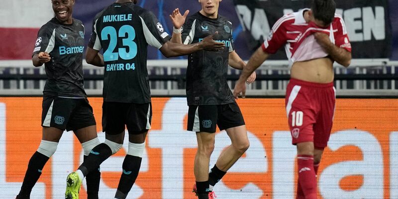 Hofmann fordert einen Elfmeter. - Foto: Christophe Ena/AP