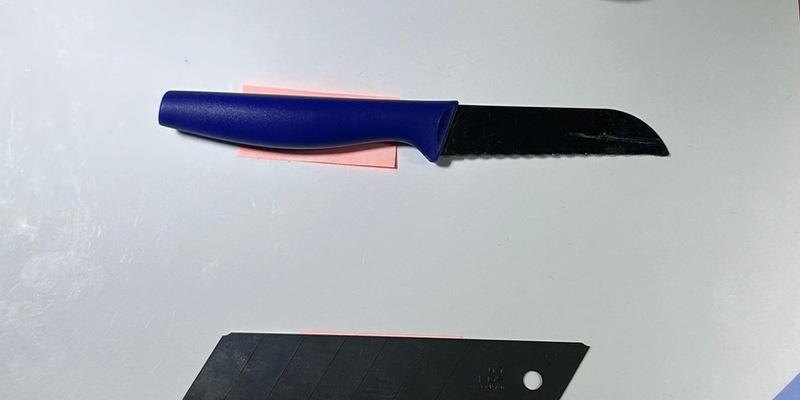 BPOL-HH: Schwerpunkteinsatz zur Gewaltprävention am und im Hamburger Hauptbahnhof - Foto: presseportal.de