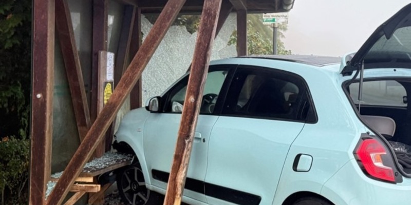 POL-LG: ++ Einbrüche in Bardowick - Gebäude und Fahrzeuge betroffen ++ Fahrraddieb im Ilmenaugarten gefasst ++ Altreifen weggeworfen ++ Fritteuse in Brand ++ Mit Wartehäuschen kollidiert (Bild) ++ - Foto: presseportal.de