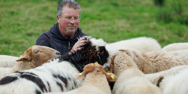 Schäfer Michael Stücke kam zufällig zur Schäferei, als er mit drei Schafen für ein gepflügtes Feld bezahlt wurde (Foto aktuell). - Foto: Friso Gentsch/dpa