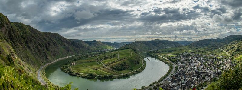 Bei der Entwicklung des Weinbaus muss nach Ansicht von Experten auch der Tourismus bedacht werden. (Archivbild) - Foto: Boris Roessler/dpa