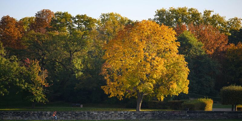 Mehr als 20 Grad sagt der Deutsche Wetterdienst (DWD) für das Wochenende vorher. - Foto: Robert Michael/dpa
