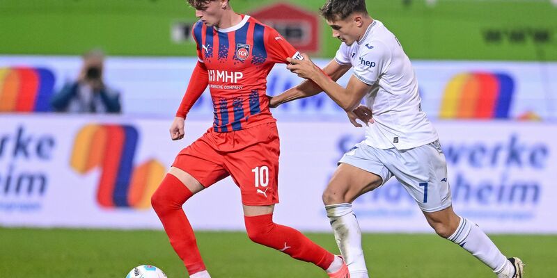 Wegen des Abbrennens von Pyrotechnik durch Hoffenheim-Anhänger mussten beide Mannschaften das Spielen kurz einstellen. - Foto: Harry Langer/dpa