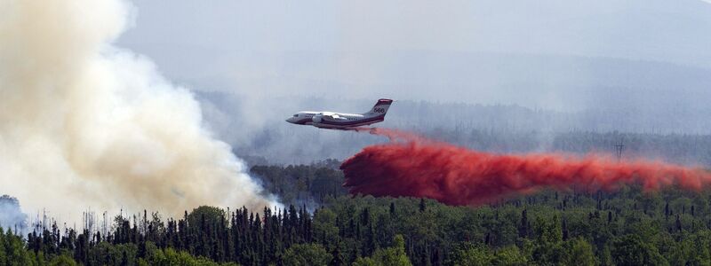 Waldbrände setzten 2023 zusätzlich CO2 frei (Archivbild) - Foto: Michael Risinger/Zuma Press/dpa