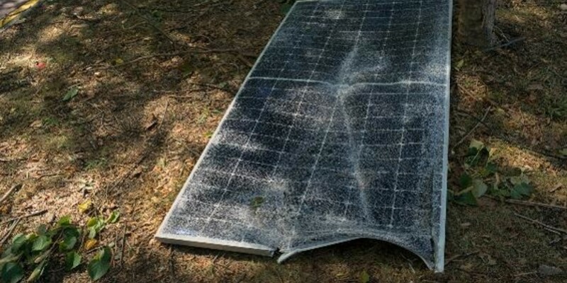 - Foto: Bildquelle: stock.adobe.com © Mariia Human